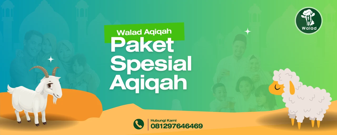 Promo Aqiqah 2 Kambing Jakarta | Promo Aqiqah 1 Kambing Jakarta