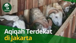 Aqiqah Terdekat di Jakarta - Walad Aqiqah