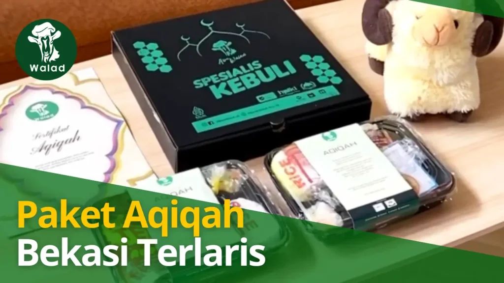 Paket Aqiqah Bekasi Terjangkau