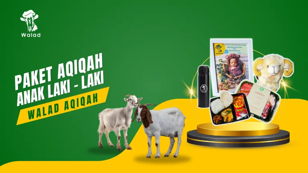 Paket Aqiqah Anak Laki - Laki