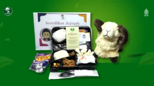 Paket Aqiqah Lengkap Terjangkau