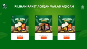 Pilihan Paket Nasi aqiqah Jakarta