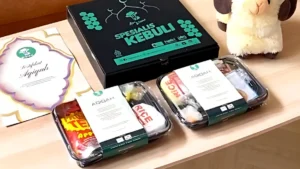 contoh menu nasi box aqiqah