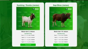 Jual Kambing Qurban Bekasi