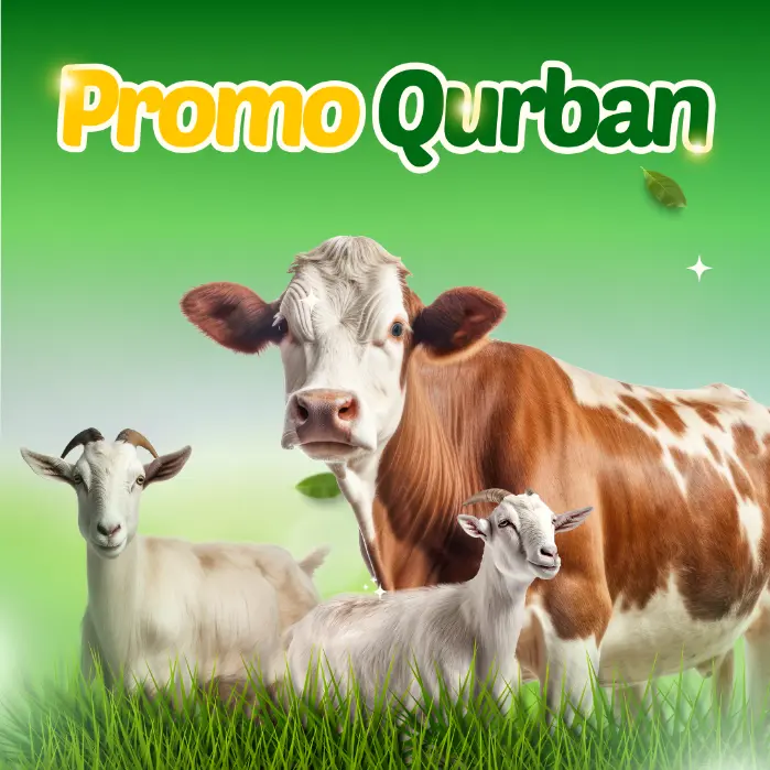 Promo Hewan Qurban