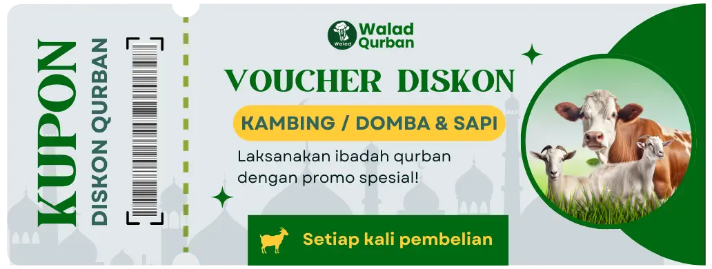 Voucher Walad Kambing Qurban & Sapi Qurban 2025